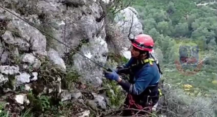 Anlık görüntü