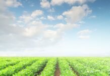 ZİRAAT ODALARINA VE TARIM BAKANINA ANTALYA’DAN SERT ELEŞTİRİ