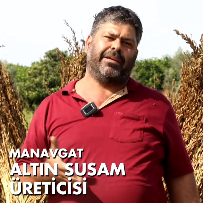 Anlık görüntü