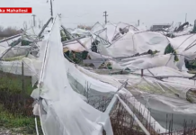 DENİZYAKA’DA ZARAR BÜYÜK