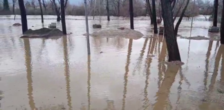 MANAVGAT ŞELALESİ ARTAN YAĞIŞLA TAŞTI