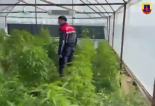 ANTALYA VE İLÇELERİNDE UYU*TURUCUYLA MÜCADELE DEVAM EDİYOR