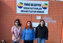 BAYAN AVUKATLARA KUMLUCA’DA SALDIRI