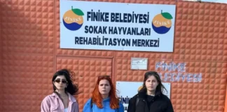 BAYAN AVUKATLARA KUMLUCA’DA SALDIRI