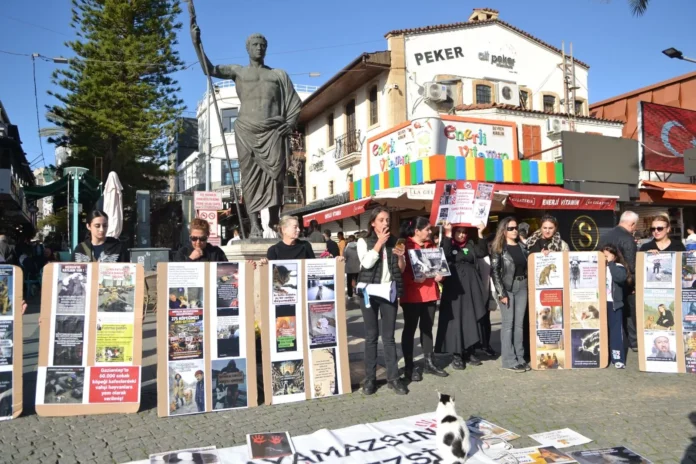 whatsapp-image-2026-02-15-at-170136