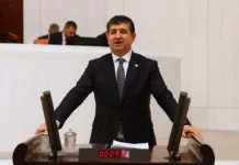 DOĞA TALANI VE KATLİAMI TARTIŞMASI MANAVGAT’TAN SONRA KORKUTELİ’DE