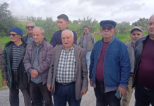 “ZEYTİN AĞAÇLARIMIZI KESECEĞİNİZE ALIN BENİM ÇOCUKLARIMI KESİN”