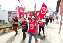 “VATAN MİLLET SAKARYA DEDİLER AMA DOĞAYI TALAN ETTİLER”