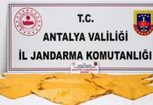 ALANYA’YI ZEHİRLEMEK İSTEYENLER YAKALANDI