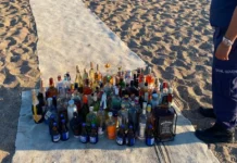 MANAVGAT IRMAĞINDAKİ GEZİNTİ TEKNELERİNE ALKOL DENETİMİ