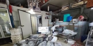 ANTALYA’DA KAÇAK AVCILIKLA İLGİLİ DENETİMLER ARTIRILDI