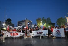 HAYVAN HAKLARI SAVUNUCULARI ANTALYA’DA EYLEM YAPTI