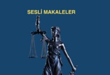 SESLİ MAKALE YAYINDA