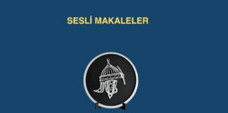 SESLİ MAKALE YAYINDA