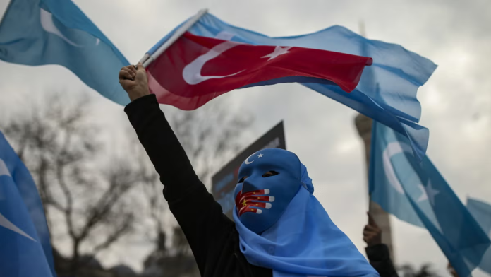 Dogu-Turkistan-Suriye-Cin-BM-2