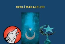 SESLİ MAKALE YAYINDA